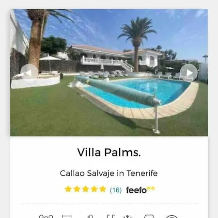 Palms 卡亚俄萨尔瓦赫