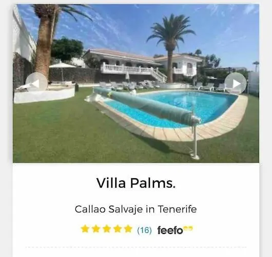 Palms Callao Salvaje